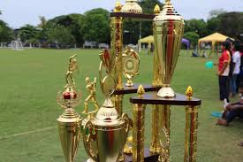 Cricket Tournaments